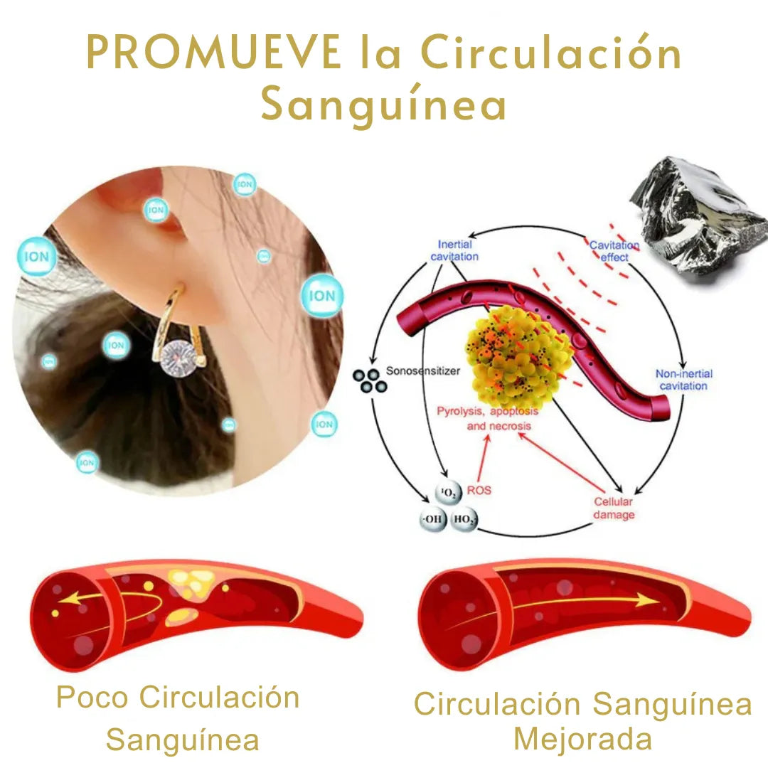 Pendientes LymphVity MagneTherapy